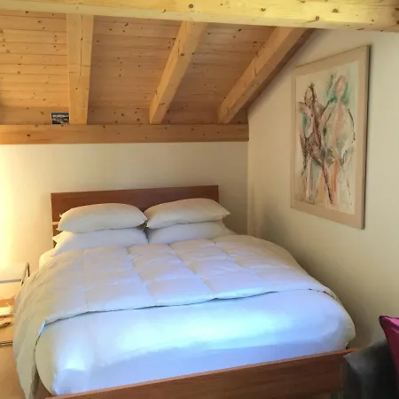 Ski & Summer Chalet Apt, Lenzerheide Region